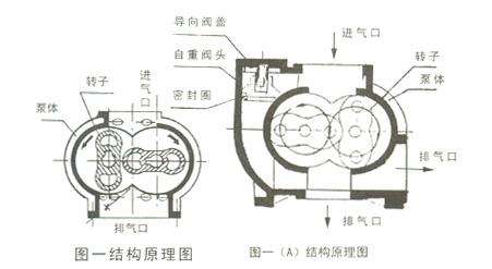 LCW型羅茨泵結(jié)構圖